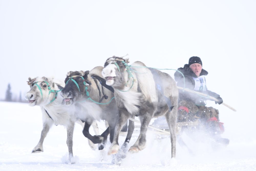Photograph by Дмитрий Захаров