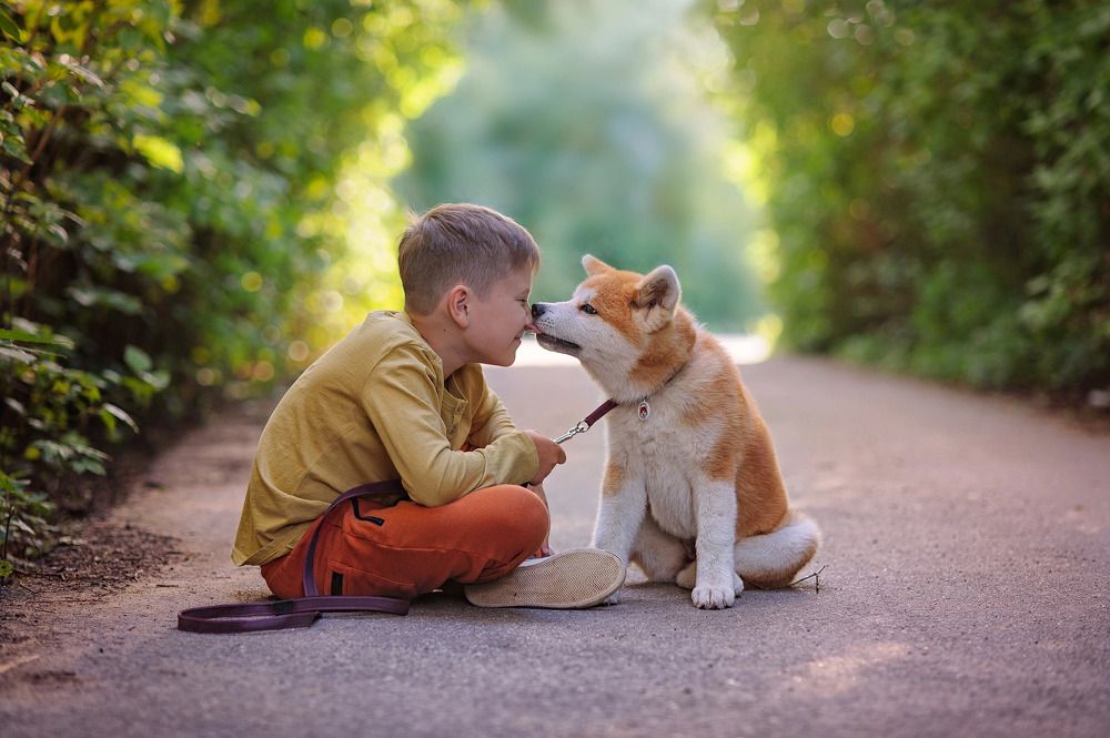 Photograph by Елена Кропп