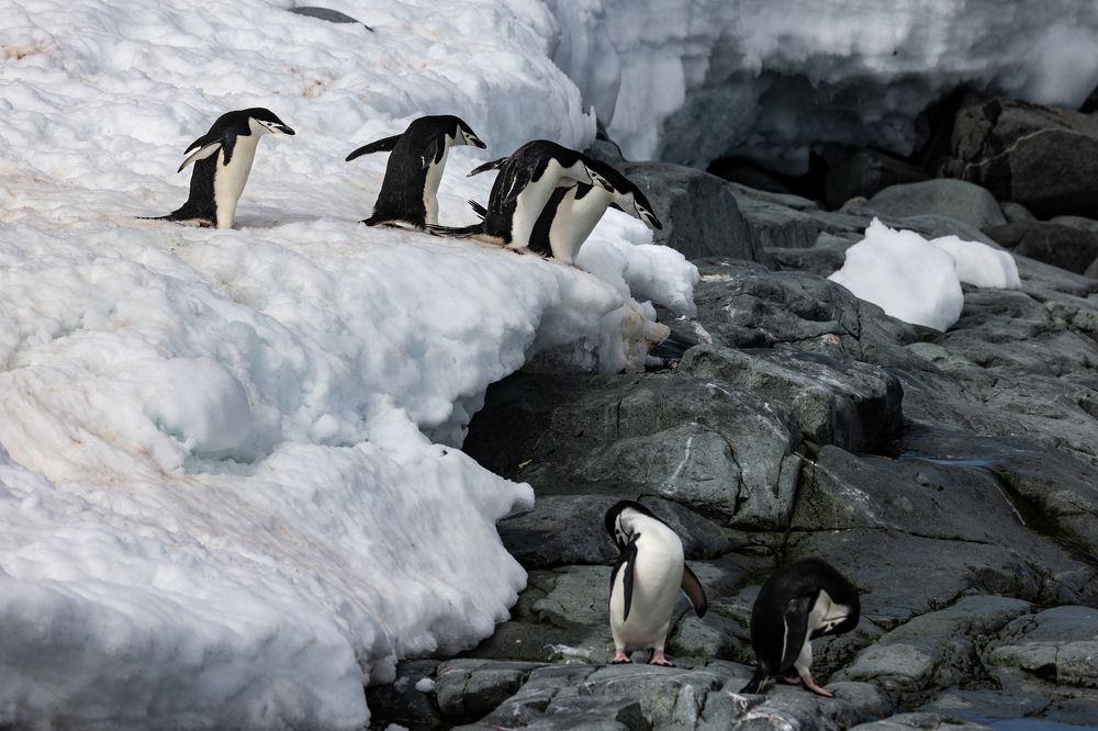 Эй пацаны! Гляди, девчонки купаются!