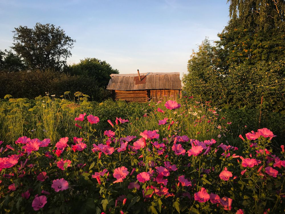 Photograph by Димитрий Осинцев