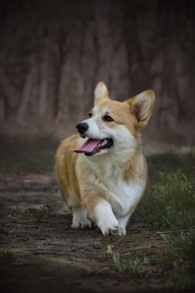 Photograph by Екатерина