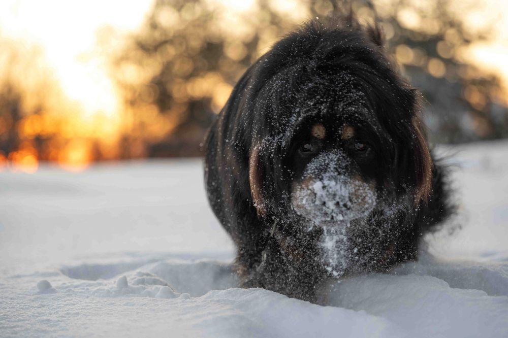 Photograph by Елена Якусева
