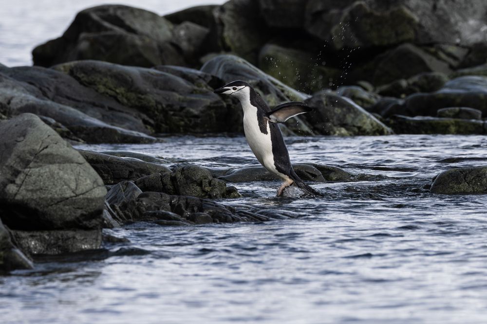 Photograph by Игорь Стретьячук