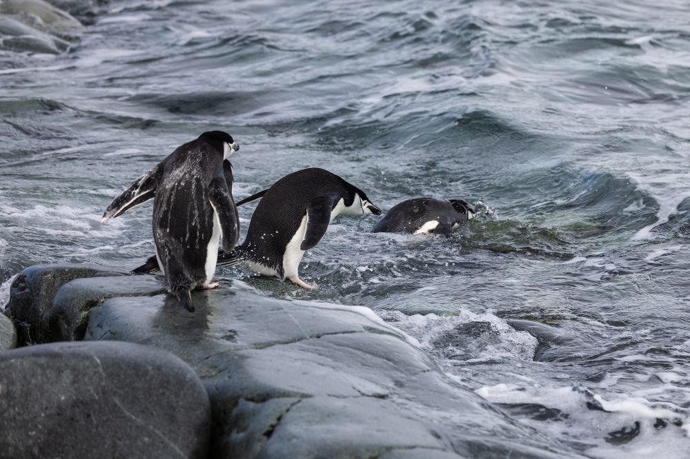 Photograph by Игорь Стретьячук