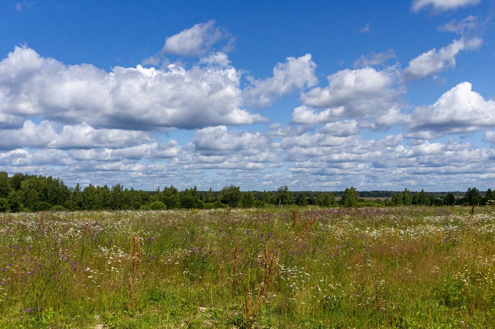 Photograph by Владислав Калюкин
