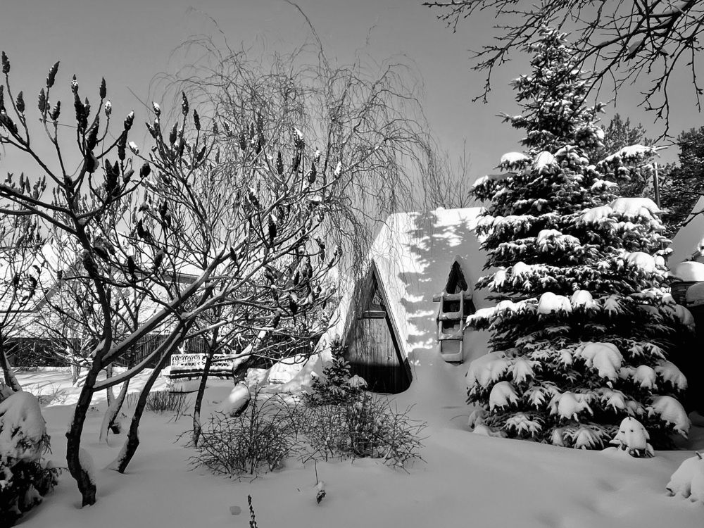 Фотография автора Рамзия Хисамутдинова