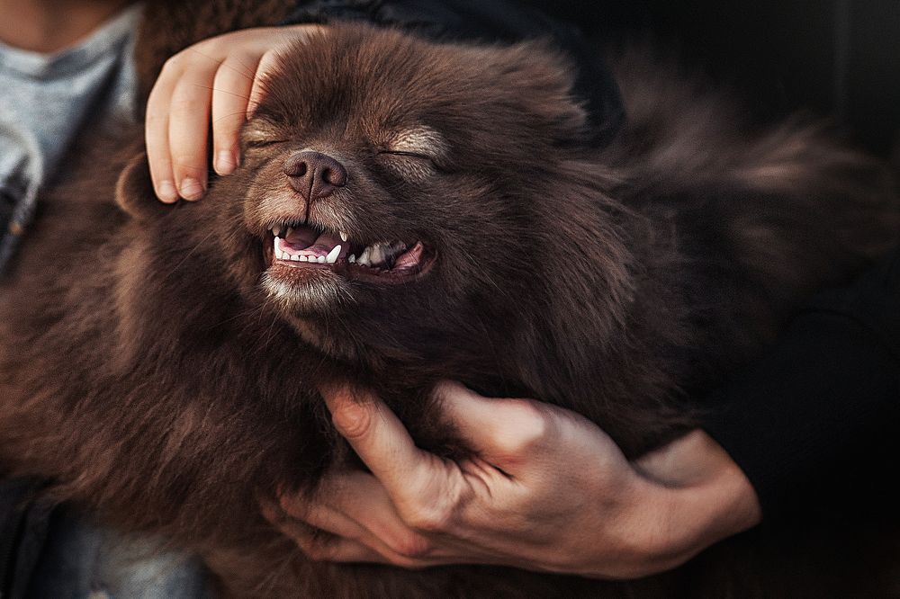 Photograph by Мария Мударгак