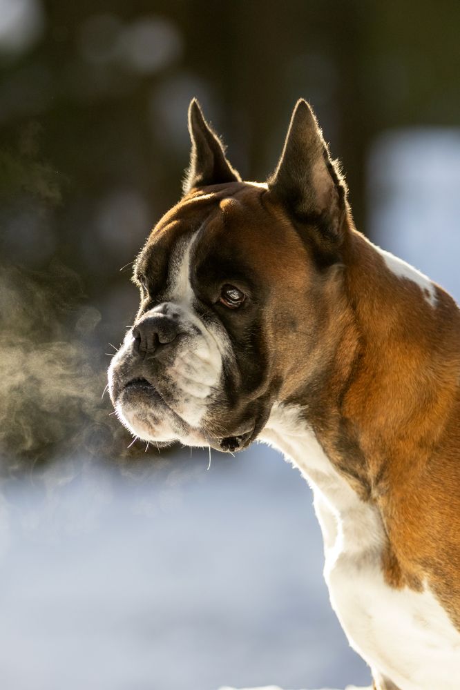 Photograph by Петракова Ольга