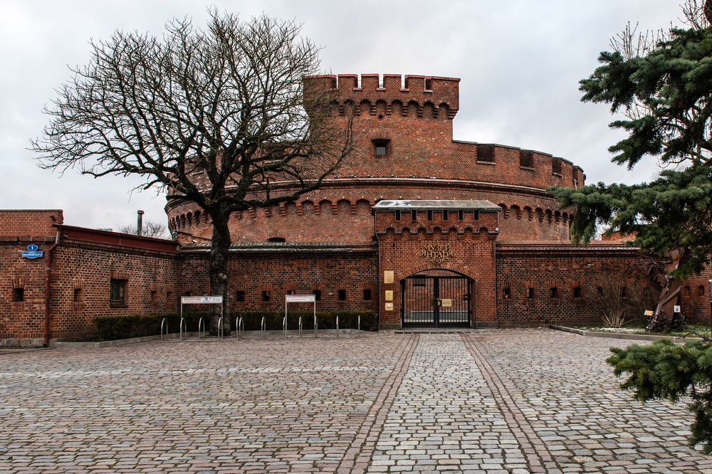 Photograph by Евгений Моляшов