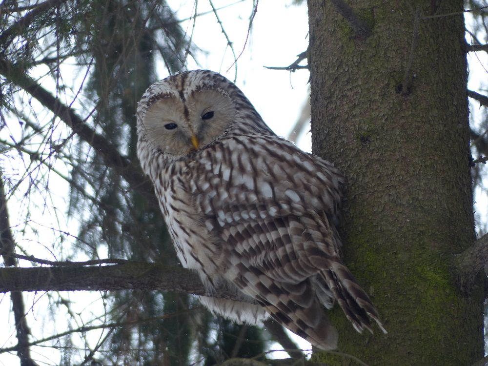 Photograph by Георгий Салюков