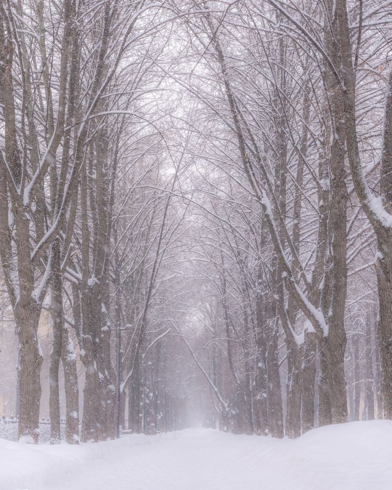 Light snow in the city