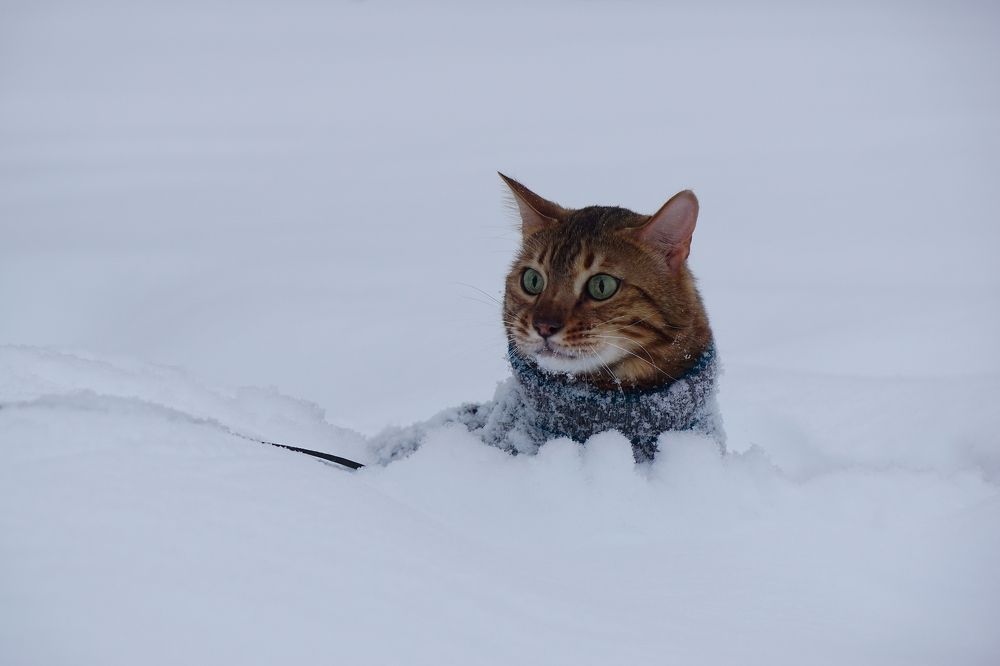 На прогулке.