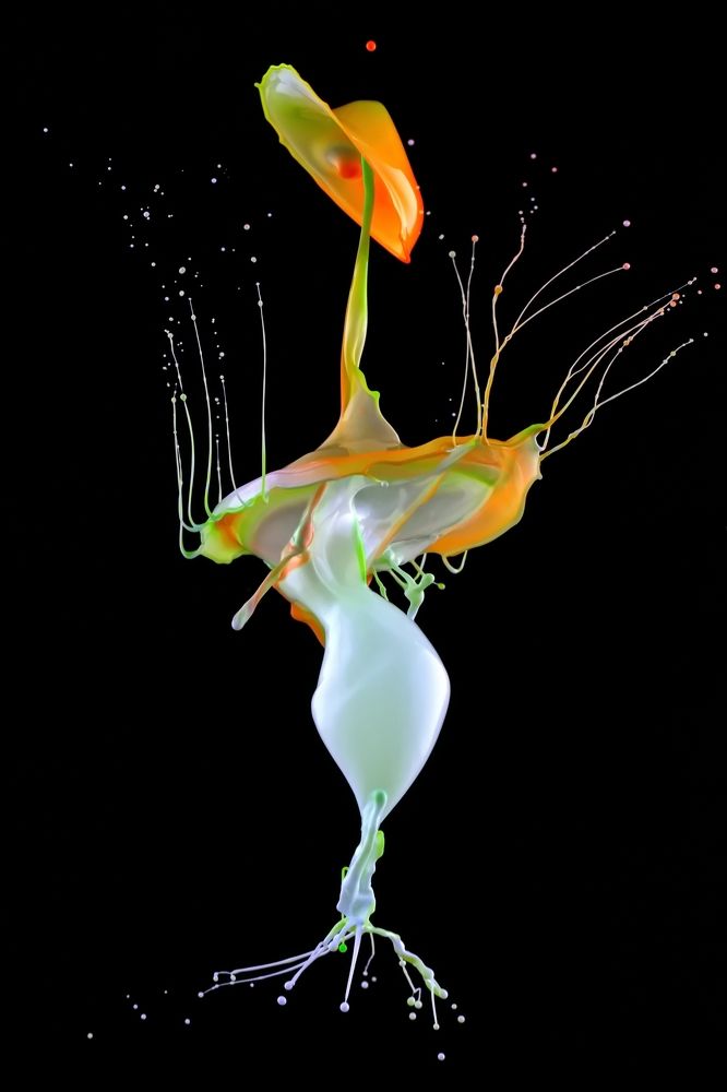 Фотография автора Илан Грабоис