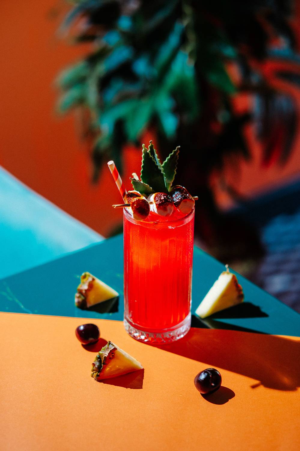 Фотография #10258506