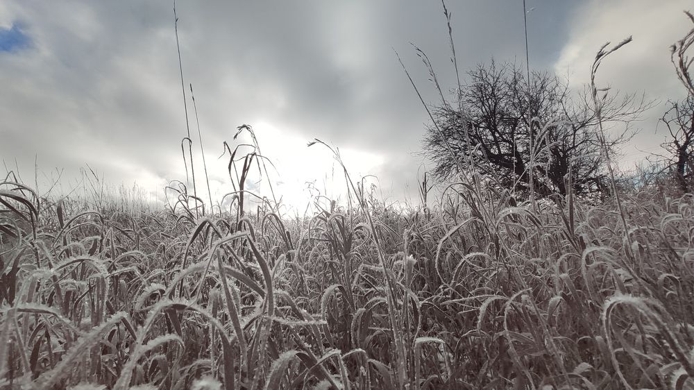 Photograph by Вячеслав