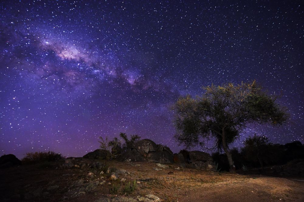 Photograph by SI SABER LOTFI