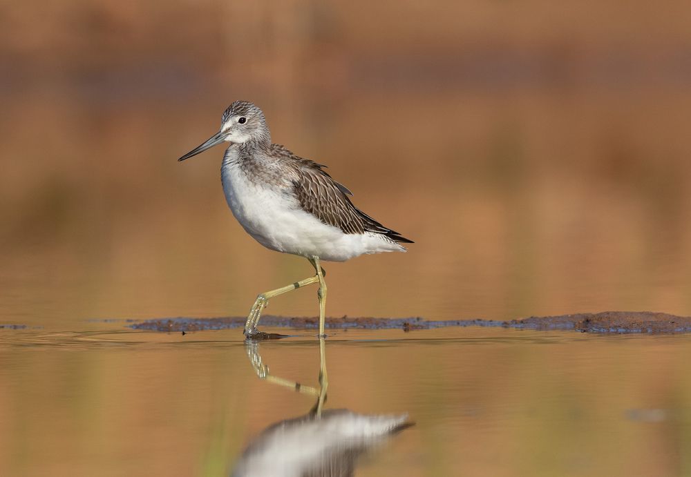 Photograph by Павел Краснослободцев