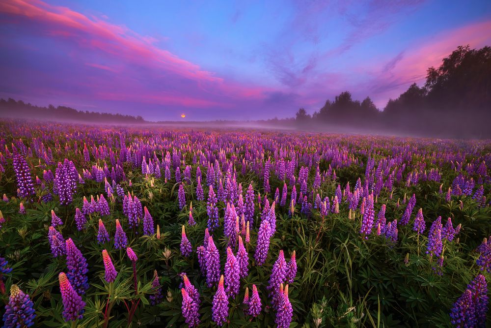 Photograph by Марина Мурашова