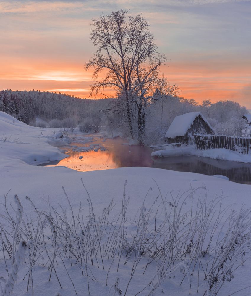 Зимний багрянец