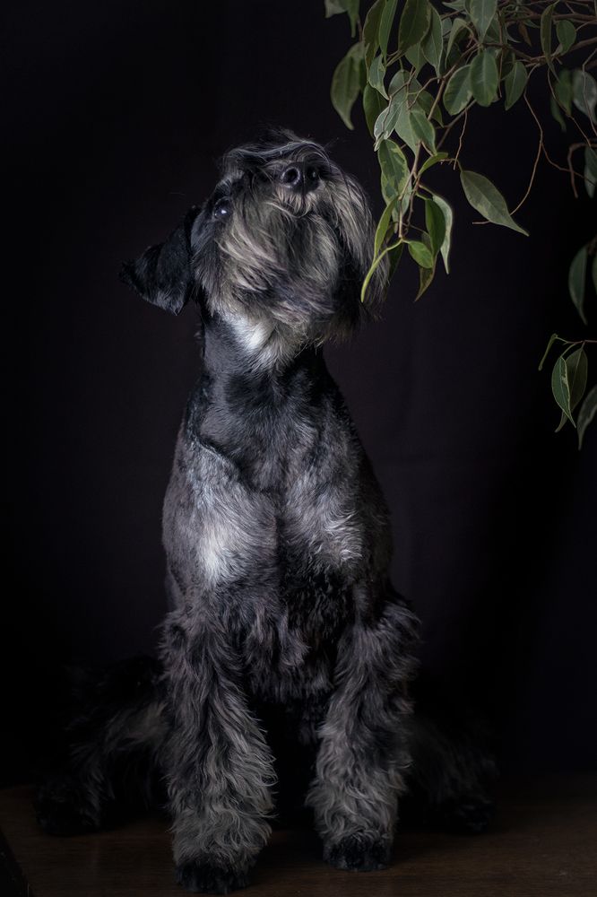 Photograph by Тамара Шамугия