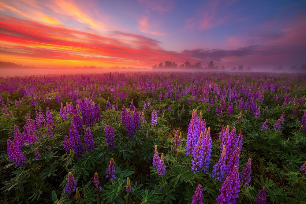 Photograph by Марина Мурашова