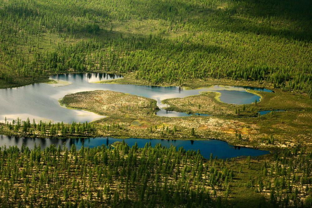 Photograph by Лада Денисова