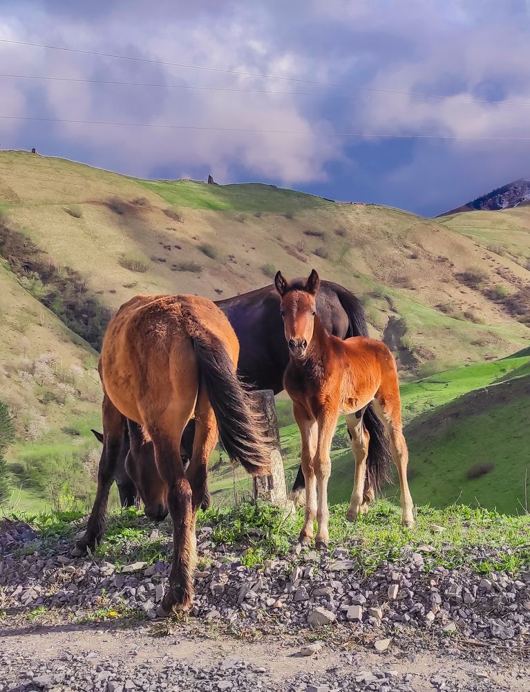 Photograph by Анастасия Семилетова