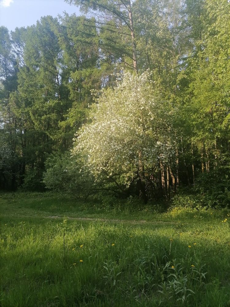 Фотография автора Андрей