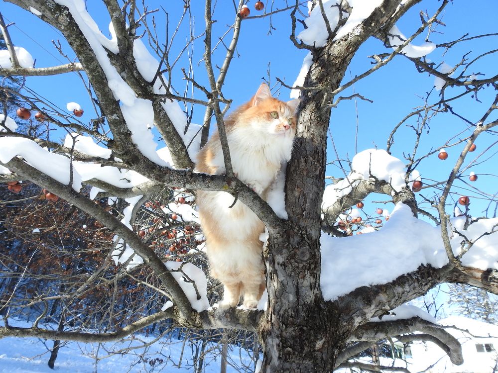 Photograph by Josée Beauchemin