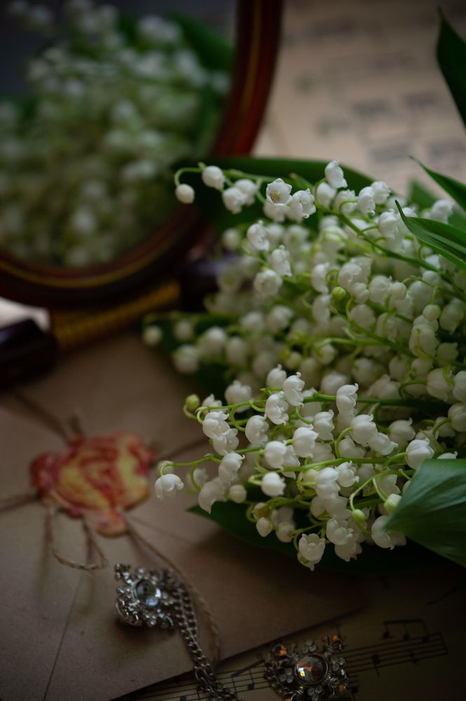 Photograph by Екатерина Одинцова