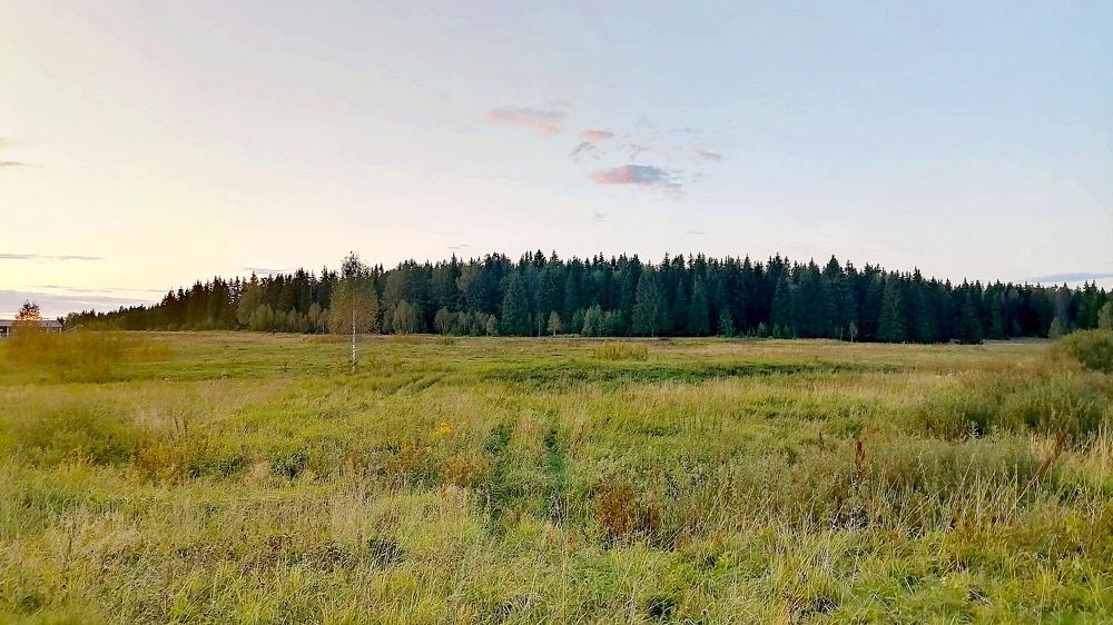 Фотография автора Андрей