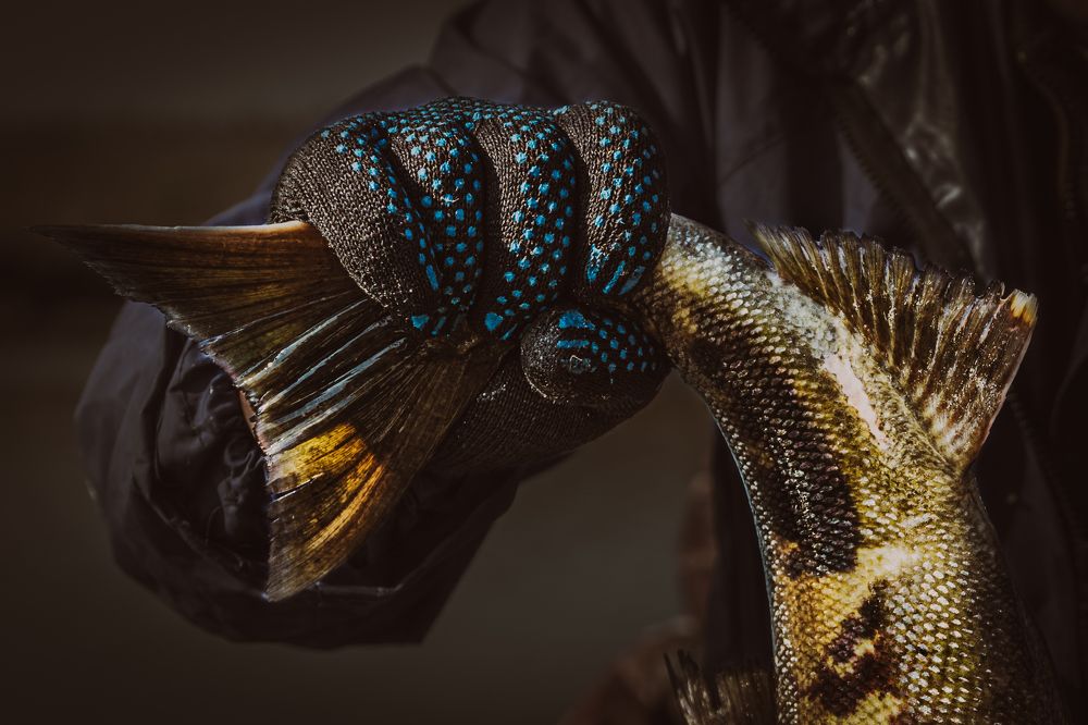 Photograph by Ольга Мусиенко