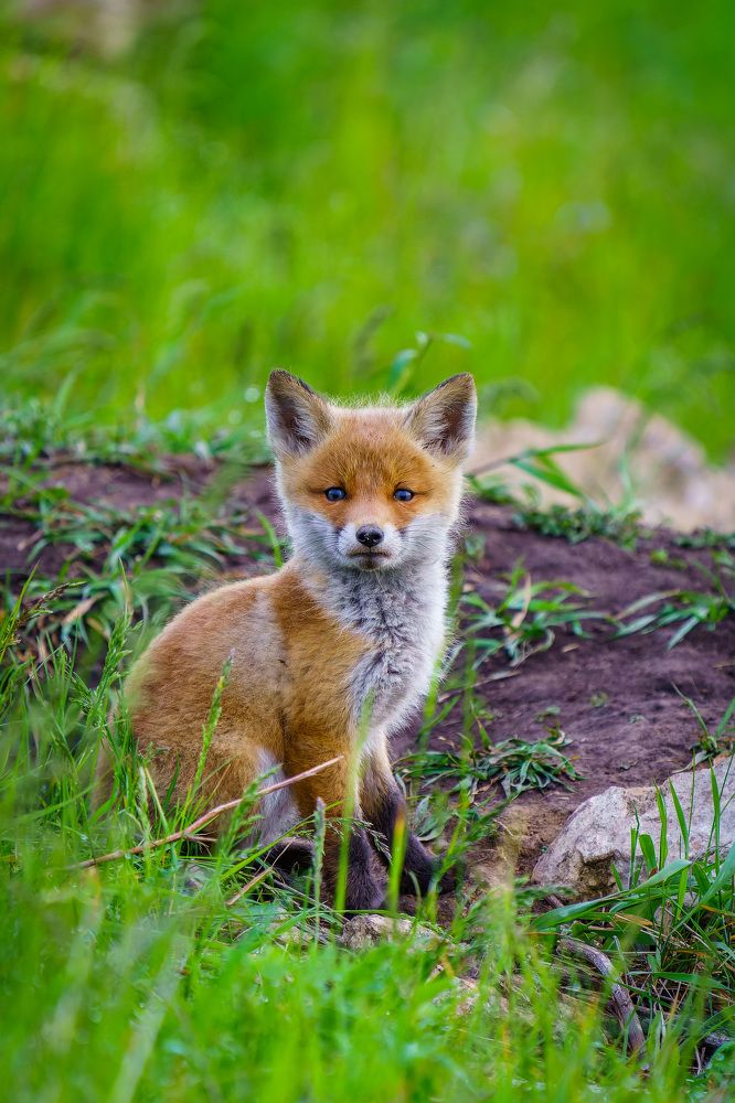 Photograph by Барабанов Алексей