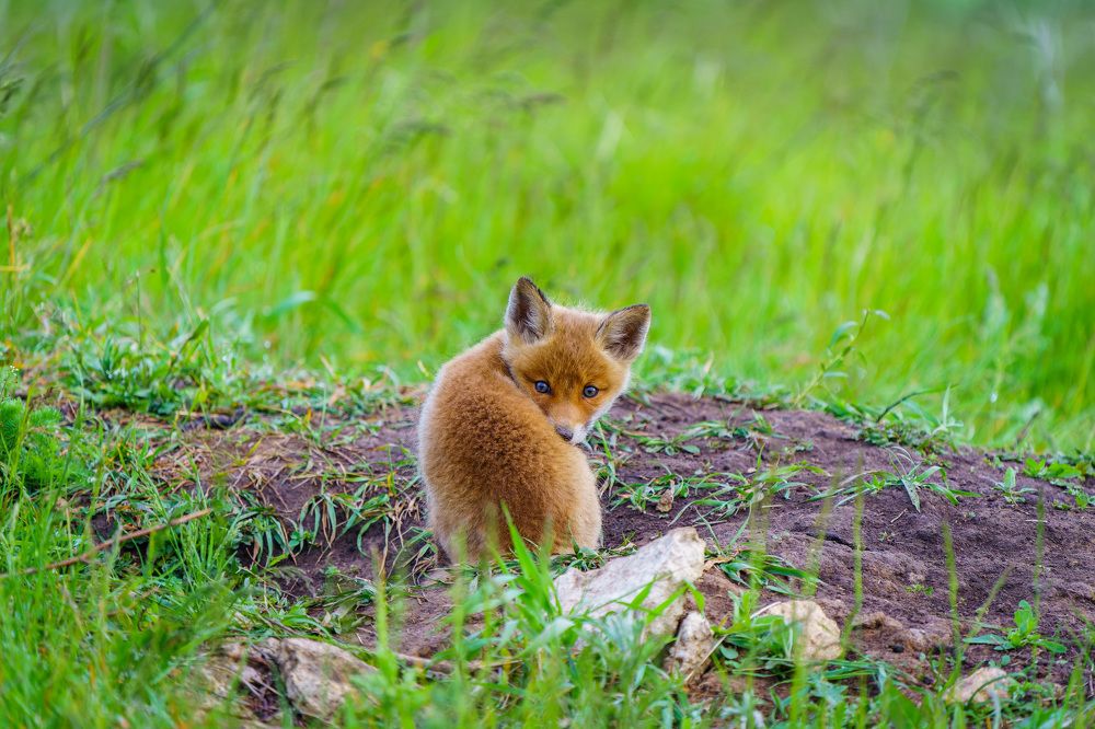 Photograph by Барабанов Алексей