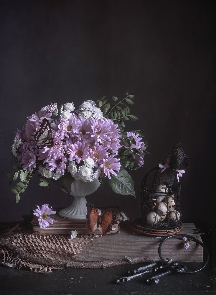 Фотография автора Виктория Шаманова