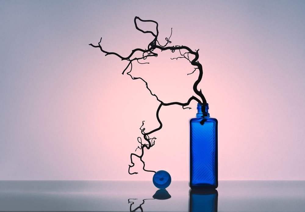 Photograph by Jelena Murina