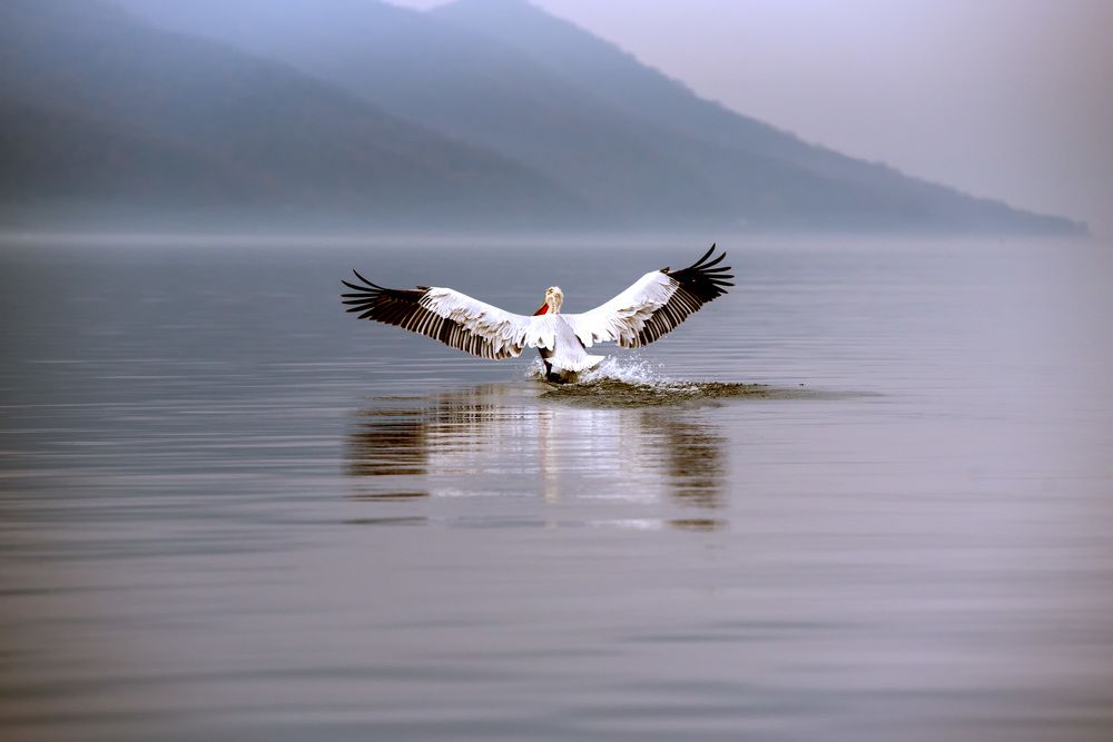 Photograph by Nikos(Nougzari) Leonov