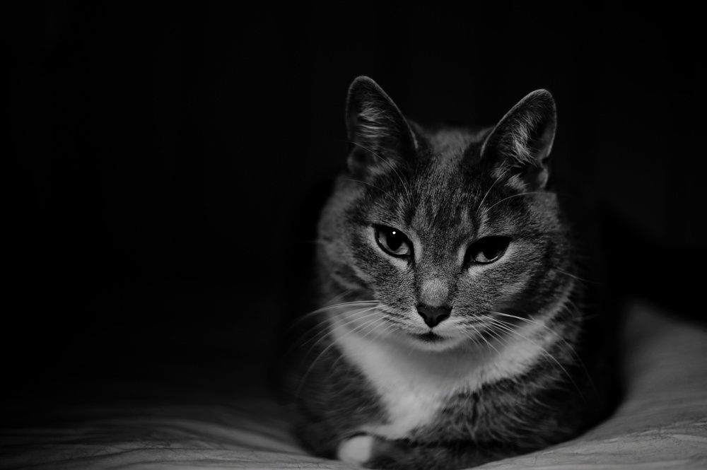 Photograph by Аряева Анна