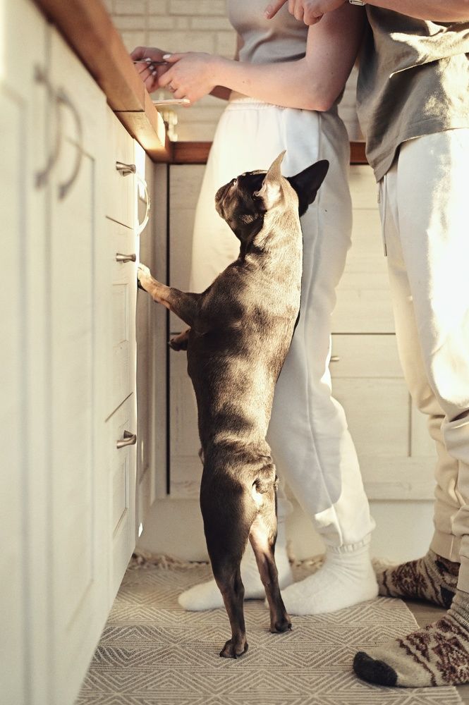 Photograph by Аряева Анна