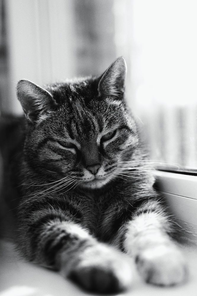 Photograph by Аряева Анна