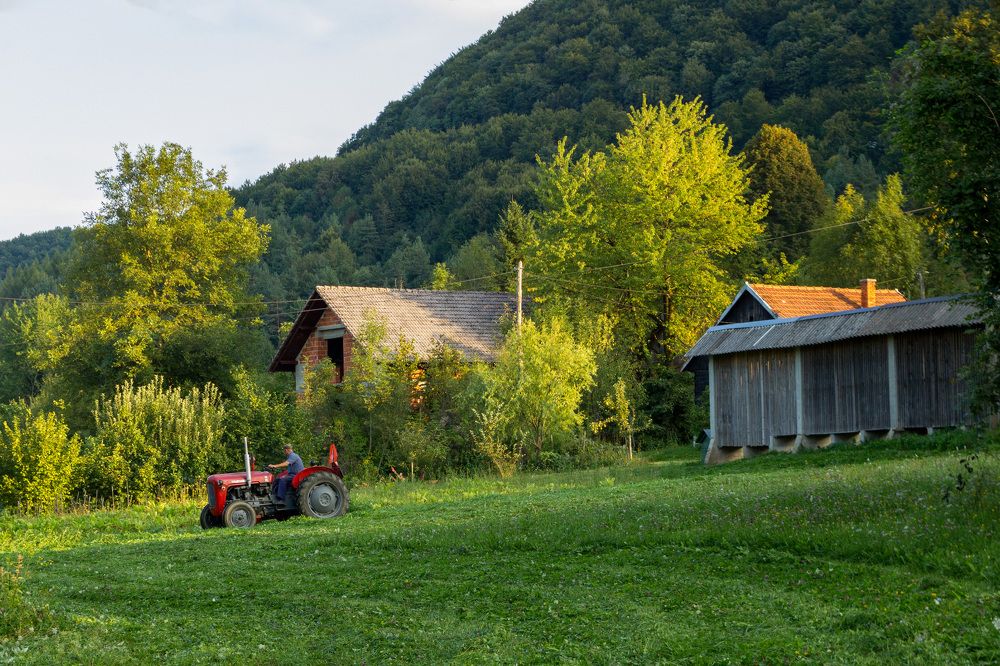 Фотография автора Minja Jovetic