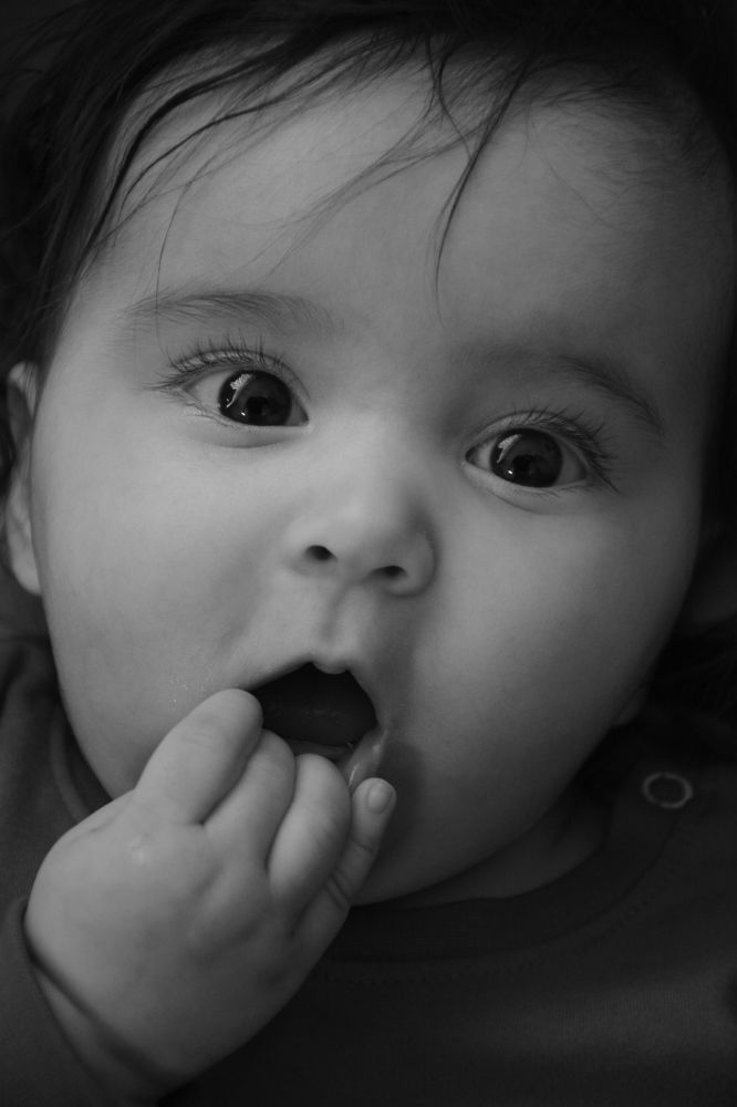 Photograph by Sepide Moazez