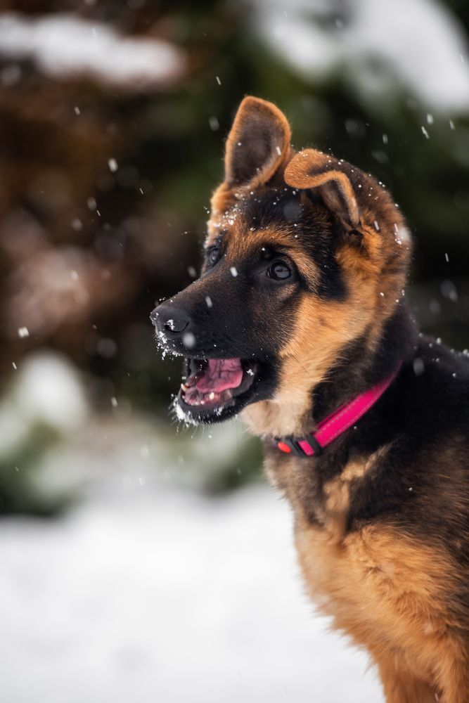 Photograph by Татьяна Ларина