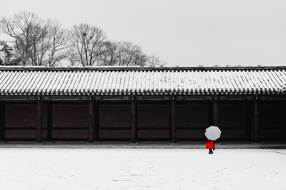 Photograph by Hwan Lee