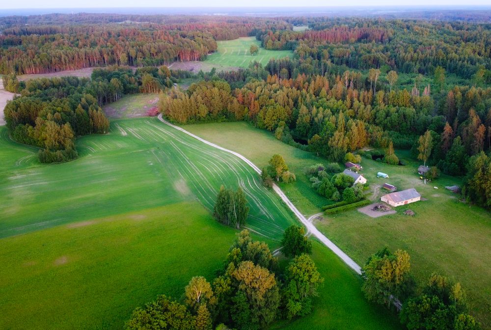 Photograph by Janis Serdienis