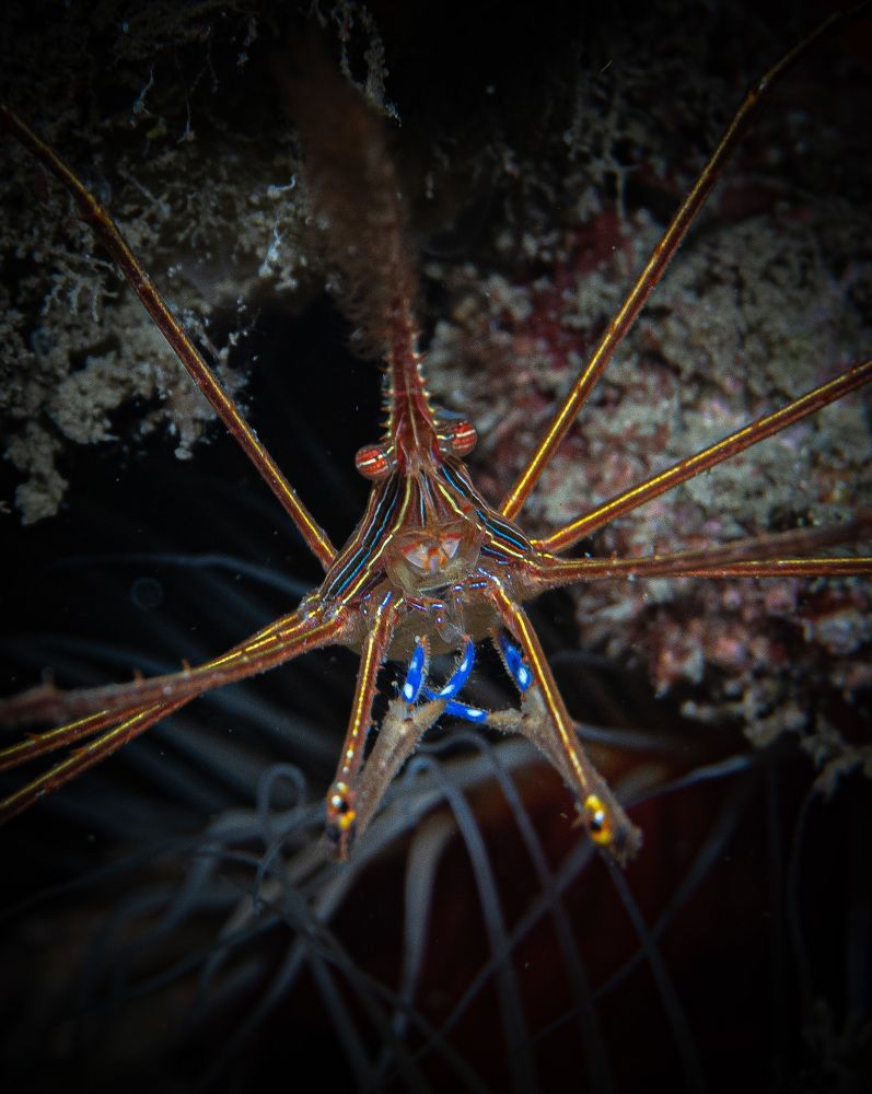 Photograph by JUAN M GUZMÁN