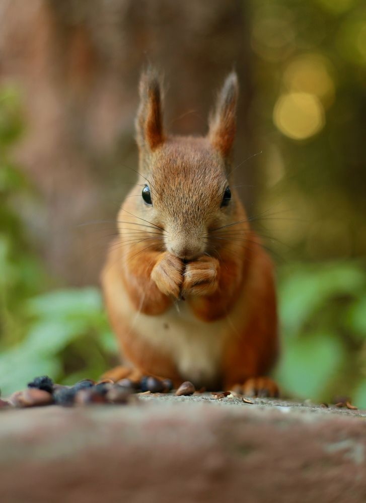 Photograph by Анжелика Авторханова