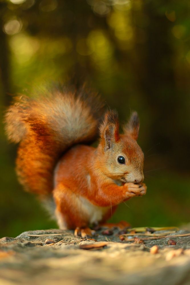 Photograph by Анжелика Авторханова