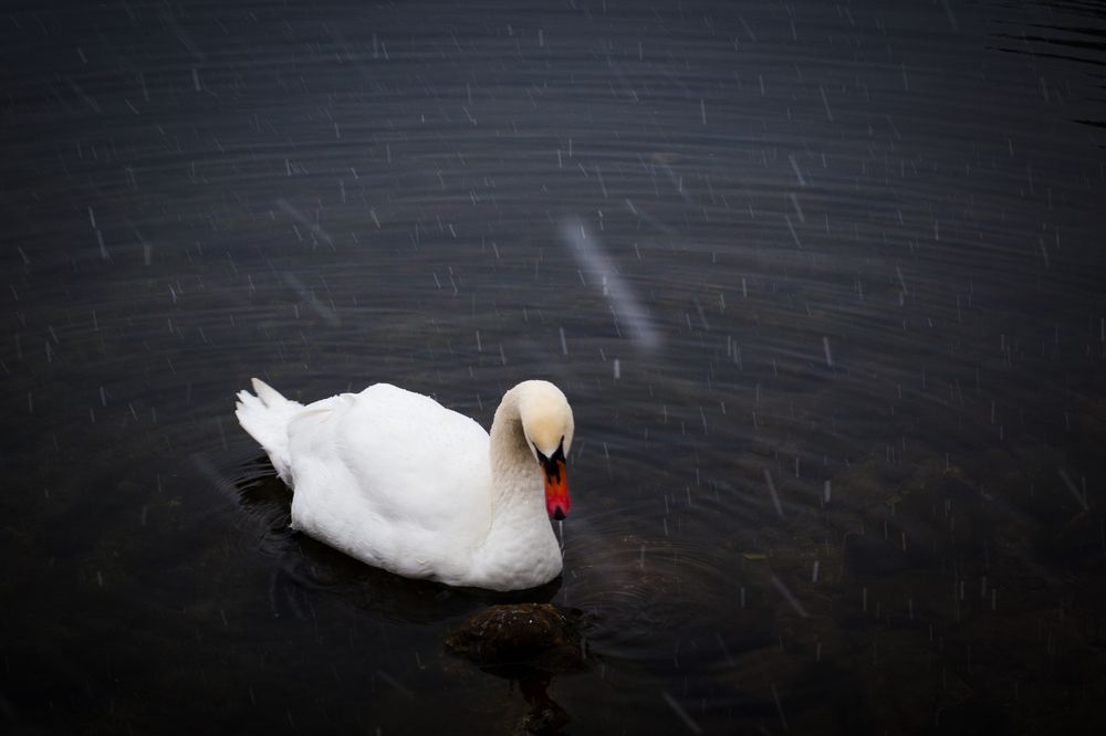 Фотография автора Оркина Ксения