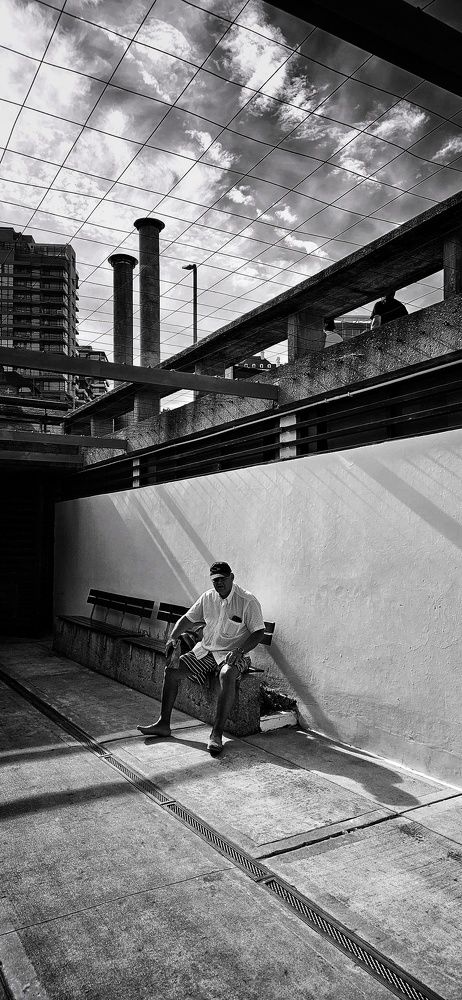 Photo #10259464